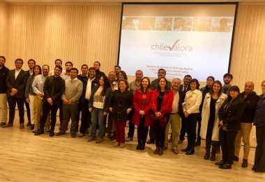 Taller reúne a Organismos Sectoriales que trabajarán en próximos proyectos de competencia