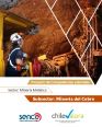 Proyecto Minería del Cobre