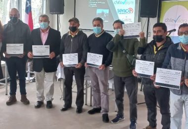 Conductores de taxis colectivos de Quilpué recibieron certificación de competencias laborales