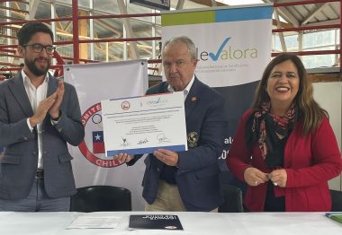 COCH y ChileValora lanzan perfiles para certificar entrenadores(as) federados(as) desde formación inicial al alto rendimiento