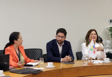 Subsecretario Boccardo y ChileValora participaron en conversatorio sobre transiciones en el mundo del trabajo y las oportunidades para la Alianza del Pacífico